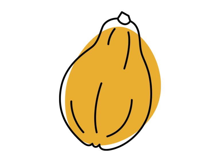 ikona owocu